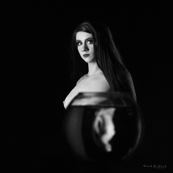 DWER4233-2610-BW